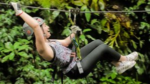 Person zip-lining through a lush green forest.