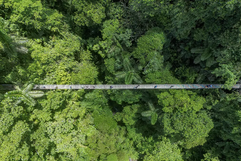   Parque Místico rodeado de densa selva cerca de La Fortuna, Costa Rica.