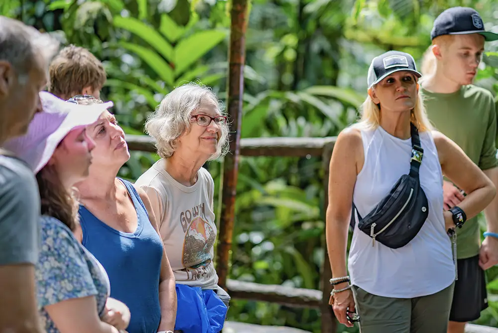 Families walking together on hanging bridges at Mistico Park.